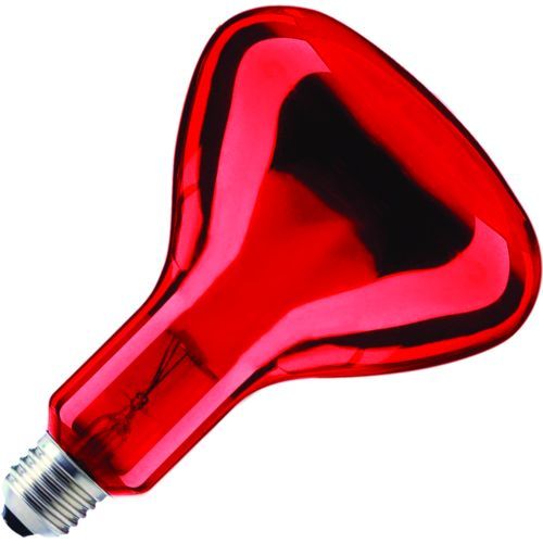 Spl | Ir-lamp R-bollamp/reflectorlamp | Grote Fitting E27 | 100W