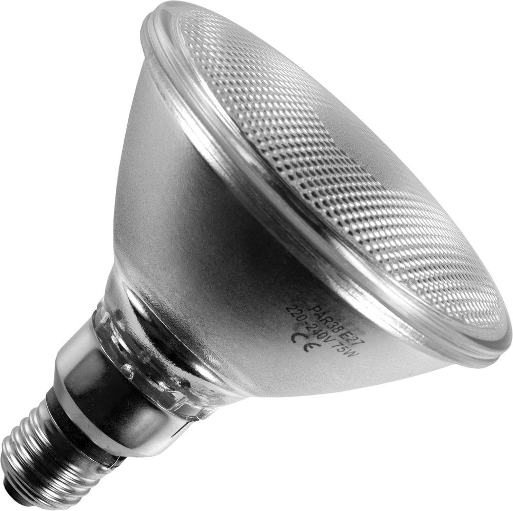 Gloeilamp | Grote fitting E27 | Spot | Mat | 122mm | 75W