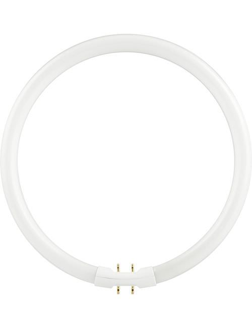 SL | FL Circline T5 | 2Gx13 Fitting | 22W | 3000K