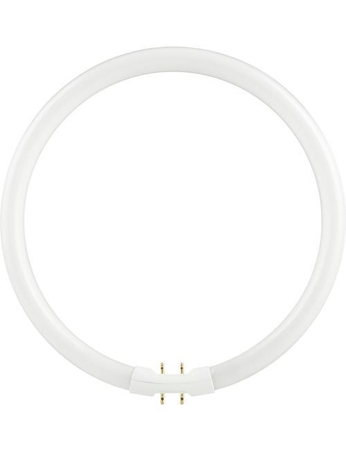 SL | FL Circline T5 | 2Gx13 Fitting | 40W | 4000K