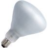 SPL | Grote fitting E27 | R-klof/reflectorlamp | 125mm | 105W SPL | Grote fitting E27 | R-klof/reflectorlamp | 125mm | 105W