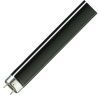 Blacklight lamp G13 | 36W