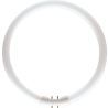 PHILIPS | Ronde TL 2GX13 | 23W