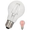 Bailey | LED Lamp | Grote fitting E27 | 4W (vervangt 40W) Rood Bailey | LED Lamp | Grote fitting E27 | 4W (vervangt 40W) Rood
