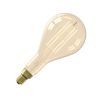 Calex | Splash High Lumen | Goud | Recht filament | 10,5W | E27 fitting Calex | Splash High Lumen | Goud | Recht filament | 10,5W | E27 fitting