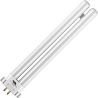 SPL | CFL | G10q4 Fitting | T6 | 15W | Blacklight UV insectenlamp | 20cm