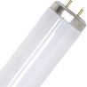 SPL | UV-lamp G13 | 20W