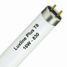 Luxline Plus T8 16W - 830 Warm Wit | 72cm Luxline Plus T8 16W - 830 Warm Wit | 72cm