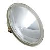 Bailey | Studio-, projectie- en fotolamp | Gloeilamp | 100W