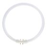 MASTER TL5C Circulair 55W - 830 Warm Wit | 30cm MASTER TL5C Circulair 55W - 830 Warm Wit | 30cm
