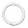 Warm White 30 Watt, T9 G10q Base Fluorescent Tube 1 Pack Warm White 30 Watt, T9 G10q Base Fluorescent Tube 1 Pack