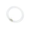 T9 Circline | 40W | G10Q | 840 Koel wit T9 Circline | 40W | G10Q | 840 Koel wit