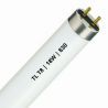 TL T8 | 18W | G13 fitting | 830 Warm Wit | 60cm TL T8 | 18W | G13 fitting | 830 Warm Wit | 60cm