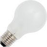 SPL | Gloeilamp 24V | Grote fitting E27 | 100W Mat
