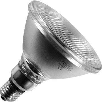 Gloeilamp Spot | Grote fitting E27 | 60W 122mm Mat