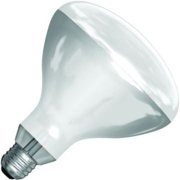 SPL |  IR-lamp R-bollamp/reflectorlamp | Grote fitting E27 | 250W
