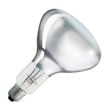 PHILIPS | Halogeen Reflectorlamp | Grote Fitting E27 | 300W