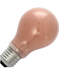 Gloeilamp | Grote fitting E27 | 25W Flame