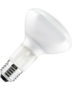 Gloeilamp Reflectorlamp | Grote fitting E27 | 100W 95mm Mat