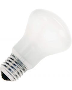 SPL | Gloeilamp Superluxlamp | Grote fitting E27 | 53W 50mm Opaal