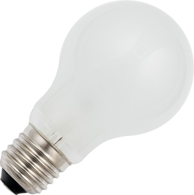 Gloeilamp | Grote fitting E27 | Standaardlamp | Mat | 60mm | 25W | 12V