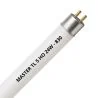 MASTER TL5 HO 24W - 830 Warm Wit | 55cm