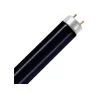 MASTER T5 8W - Blacklight Blauw | 29cm