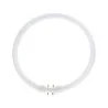 MASTER TL5C Circulair 22W - 840 Koel Wit | 23cm