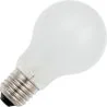 Gloeilamp | Grote fitting E27 | Standaardlamp | Mat | 60mm | 40W | 12V