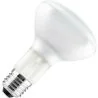 Gloeilamp | Grote fitting E27 | Reflectorlamp | Mat | 95mm | 100W