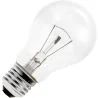 Gloeilamp | Grote fitting E27 | Standaardlamp | Helder | 55mm | 40W