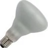 SPL | Grote fitting E27 | R-klof/reflectorlamp | 95mm | 52W