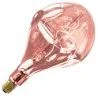 Calex | LED filament | Grote fitting E27 | Design lamp | 165mm | 6W