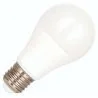 Bailey | LED lamp | Grote fitting E27 | Standaardlamp | 60mm | 10W
