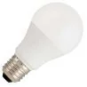 Bailey | LED lamp | Grote fitting E27 | Standaardlamp | 60mm | 7W | 24V