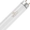 SPL | TL Buis | G13 Fitting | T8 | 10W | Blacklight UV insectenlamp | 33cm