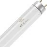 SPL | TL Buis | G13 Fitting | T8 | 18W | Blacklight UV insectenlamp | 59cm