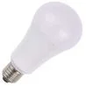 SPL | LED lamp | Grote fitting E27 | Standaardlamp | 67mm | 15W
