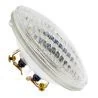 Bailey | Studio-, projectie- en fotolamp | Gloeilamp | 25W | 12V