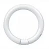 Warm White 30 Watt, T9 G10q Base Fluorescent Tube 1 Pack