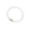 T9 Circline | 22W | G10Q | 840 Koel wit