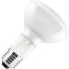 Gloeilamp Reflectorlamp | Grote fitting E27 | 105W 95mm Mat