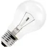 Gloeilamp | Grote fitting E27 | Standaardlamp | Helder | 55mm | 100W