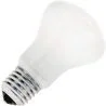 Gloeilamp | Grote fitting E27 | Superluxlamp | | | 100W
