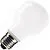 SPL | Gloeilamp | Grote fitting E27 | 75W Mat