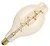 Bailey | LED Lamp Giant | Grote fitting E27 Dimbaar | 3W (vervangt 27W)