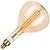 Bailey | LED Design lamp | Grote fitting E27 | 8.5W Dimbaar